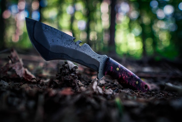 Find din perfekte mora kniv hos dolk.dk – uden at sprænge budgettet