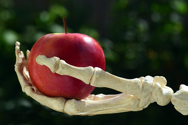 Rødkløverekstrakt fra Natur Drogeriet: Boost din knoglestyrke og forebyg osteoporose